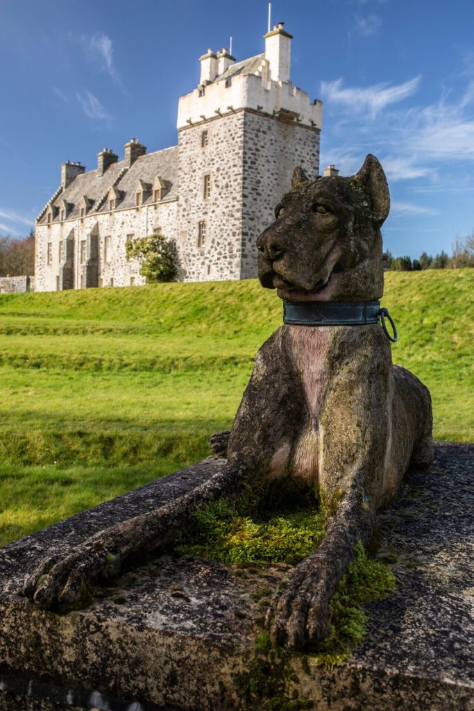 Kingsale Hounds In Situ 4