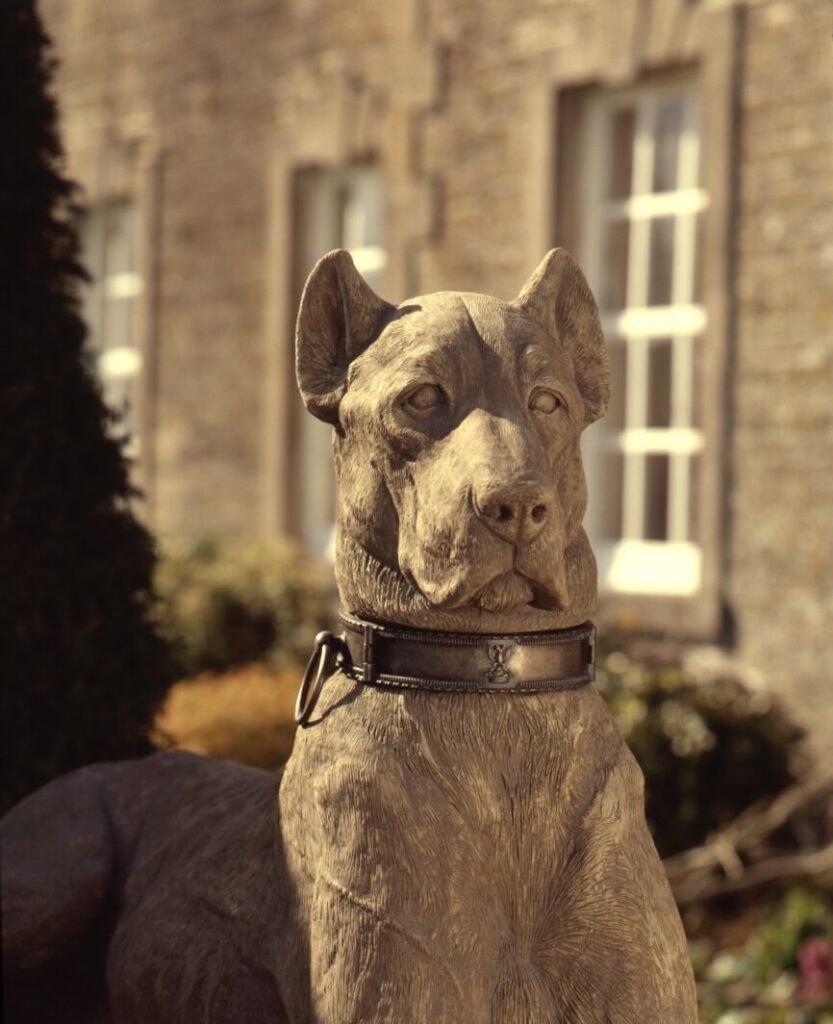 Kingsale Hounds In Situ 7