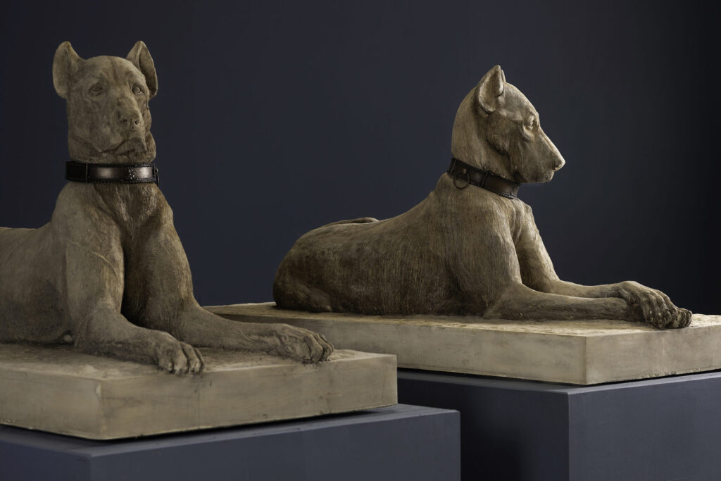 Kingsale Hounds