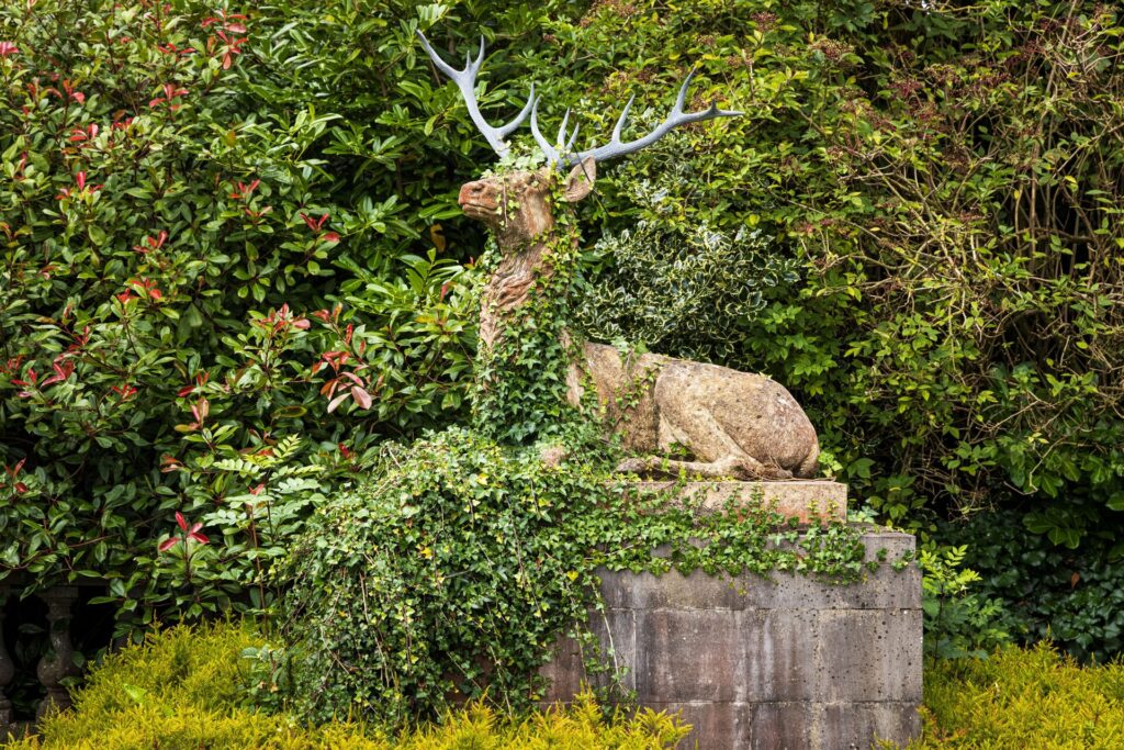 Reclining Stag In Situ 1