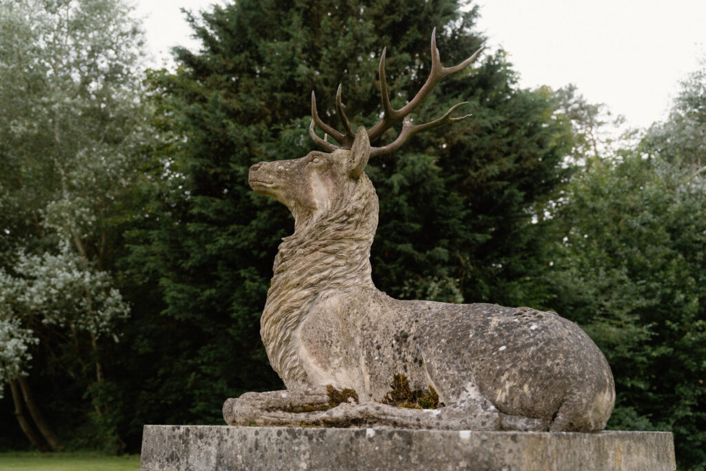 Reclining Stag In Situ 2