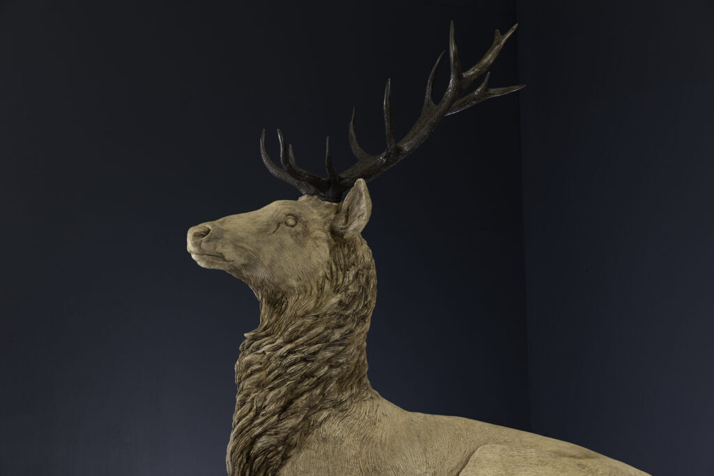 Reclining Stag 3