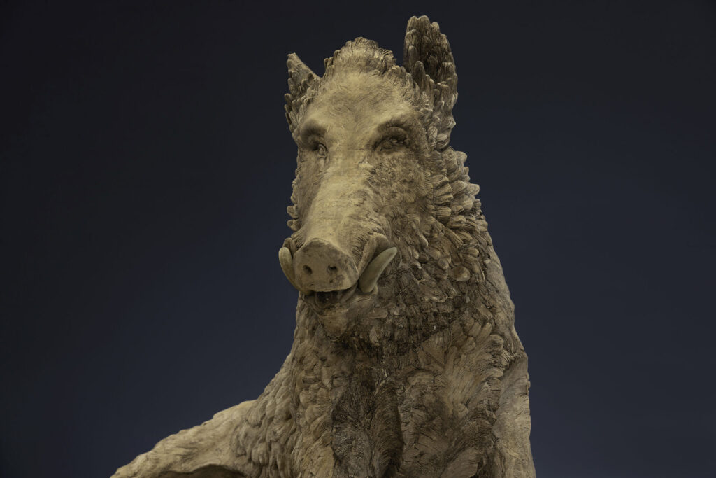 Uffizi Boar